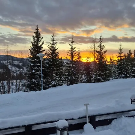 Campingvogn In-out Kemping *