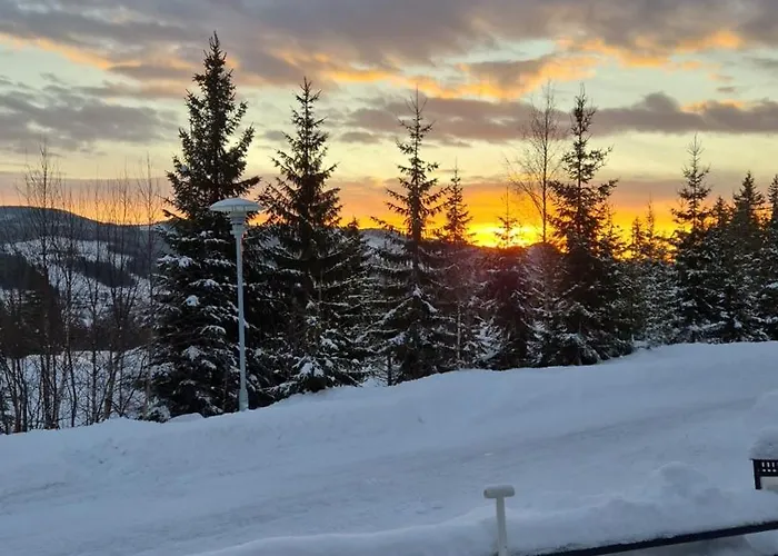 Campingvogn In-out Camping *